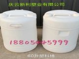 60升塑料桶带提手60L塑料桶洗化桶助洗剂包装桶